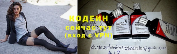 спиды Богданович