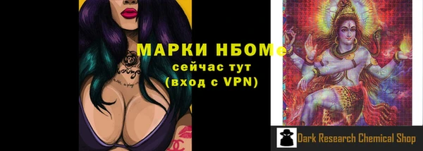 спиды Богданович