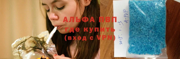 сатива Богородицк