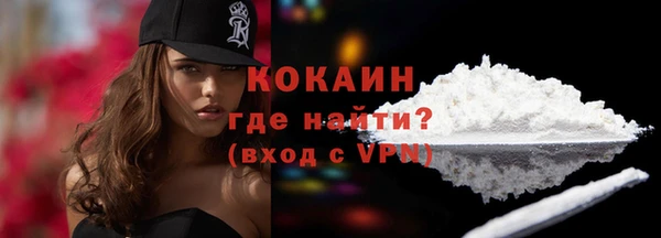 мет Протвино