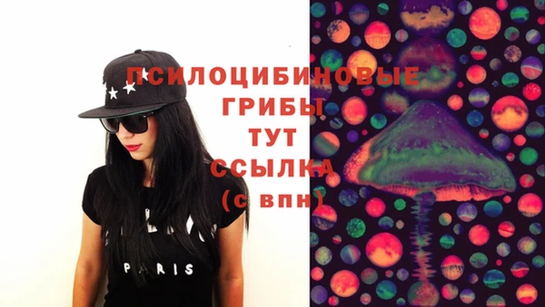 спиды Богданович