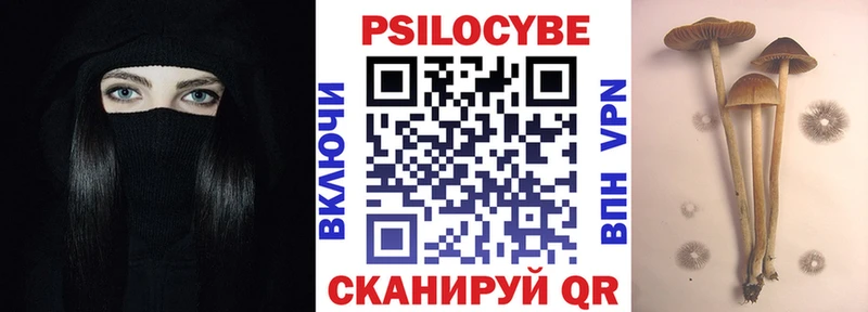 Псилоцибиновые грибы прущие грибы  купить закладку  Короча 